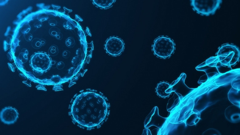 Hospital-Acquired Infection Control Market 2022-2027, Industry Share, Size, Growth Status, Competitive Analysis, and Report