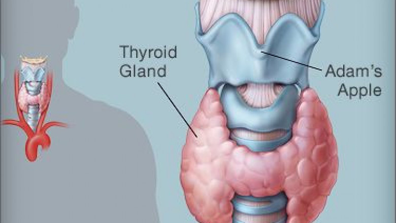 Thyroid Treatment in Bhosari | Thyroid Disorders Treatment - Dr. Jyoti's Homoeopathy Clinic.
