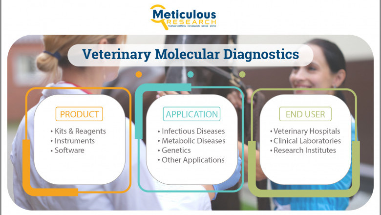 Veterinary Molecular Diagnostics: Trends, Demand and Future Opportunities