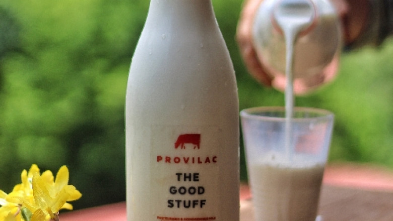 What is Milk and Why It Should Be Included In Your Diet