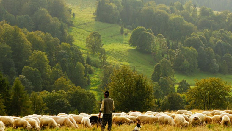 10 things we all hate about living room ideas for small spaces apartments