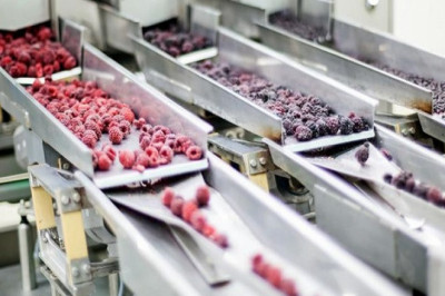 Food Processing and Handling Equipment Market | Exhibit a Huge Growth by Profiling Major Companies