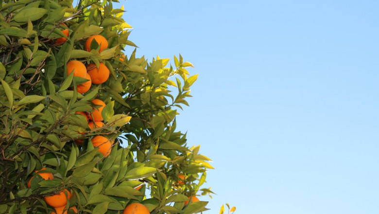how full effective marketing with a press release