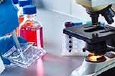 The Future of Cell Counting Market