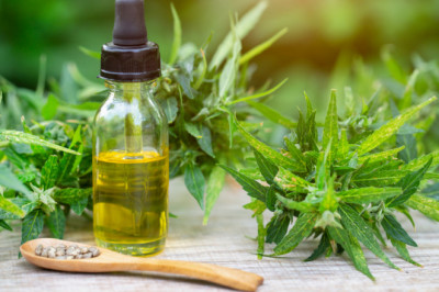 Why Should You Be Adding Extracts to Your Diet?