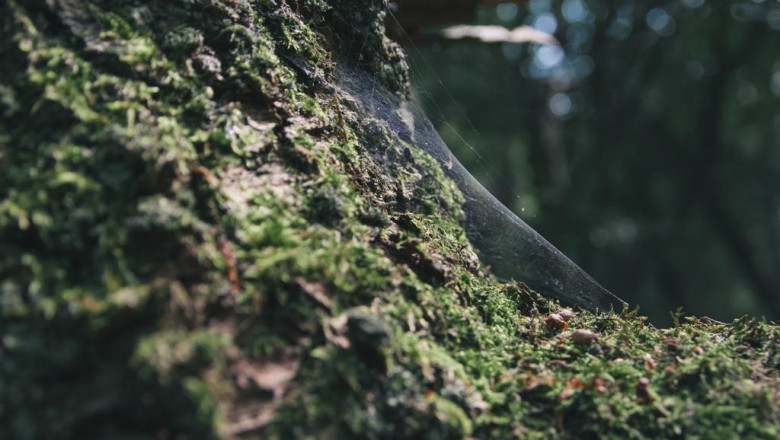 have you been founded responsible of any kind of legal offense in jacksonville fl the lawbreaker legal professional in jacksonville fl are there for your personal rescue