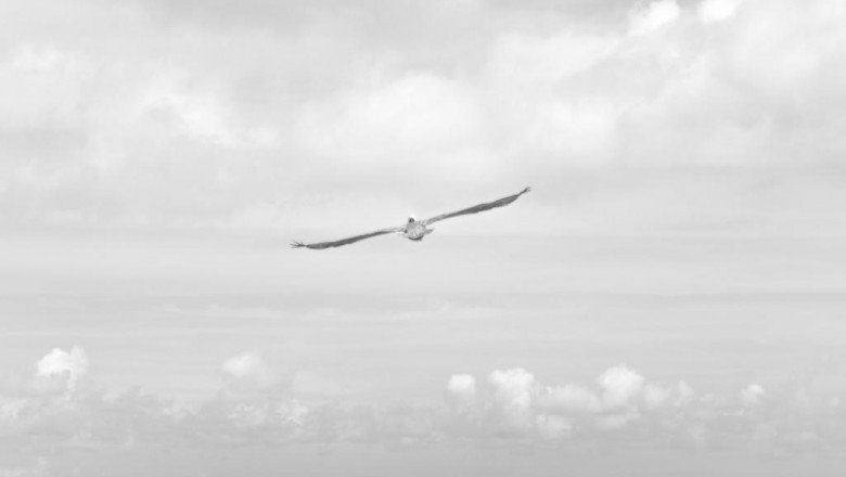 inground pools know your facts before you sign a legal contract