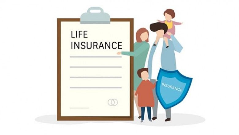 Life Insurance Loan