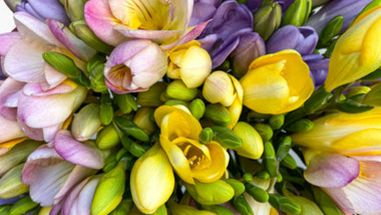 Online Flower Delivery Services Supply More than Flowers