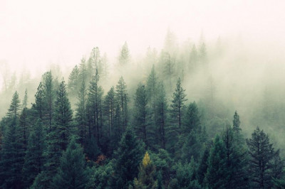 15 best twitter accounts to learn about stone island hoodie