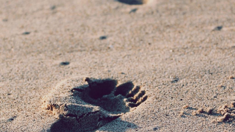 5 things everyone gets wrong about how to start swinging