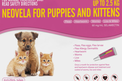 Buy Neovela (Selamectin) Flea And Worming For Cats