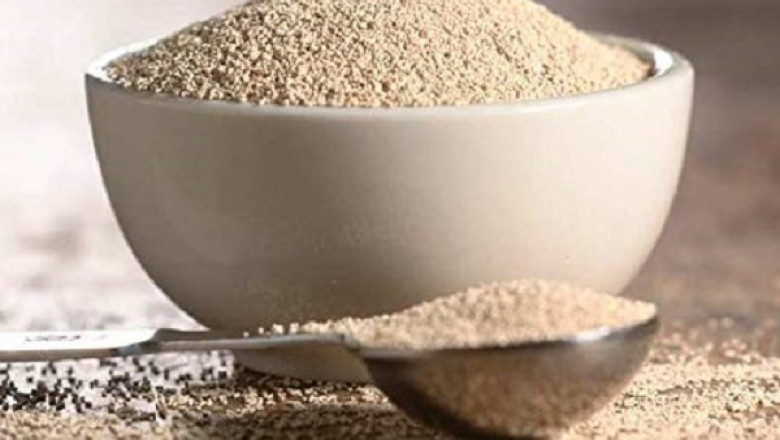Global Inactive Dry Yeast Market is Expected to reach USD 9.3 billion by 2028 at a CAGR 8.7%