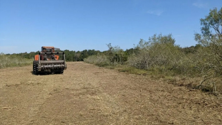 How Much Does It Cost To Clear Land?