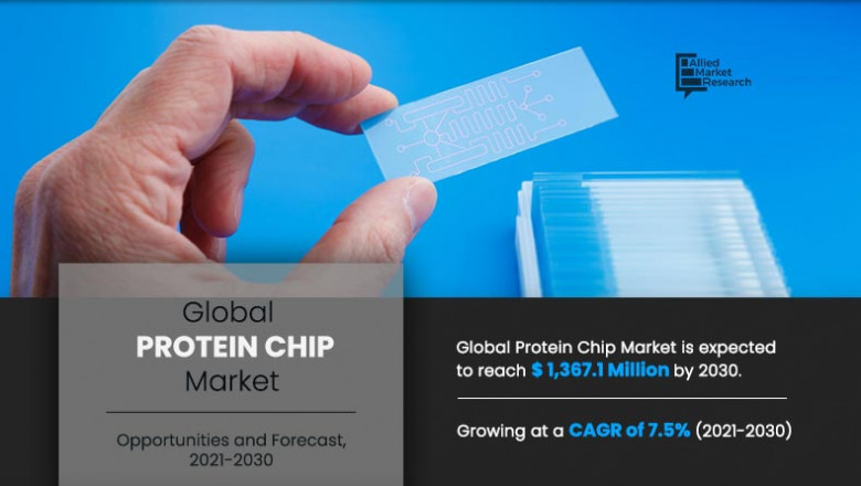 Protein Chip Market Global Enhancements and Growth Outlook 2030