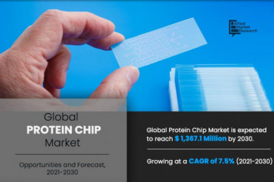 Protein Chip Market Global Enhancements and Growth Outlook 2030