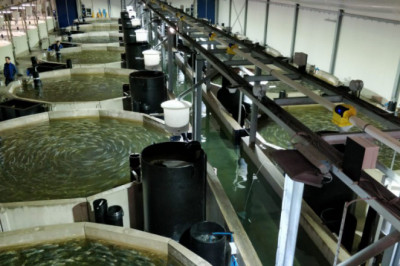 Recirculating Aquaculture System Market Future Scenarios, Growth