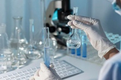 Searching Agency consultant in jobs in ths USA