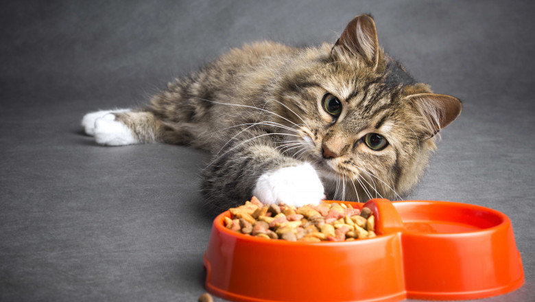 The amino acid segment is expected to dominate the global animal nutrition market in terms of revenue