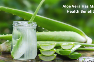 Aloe Vera Has Many Health Benefits