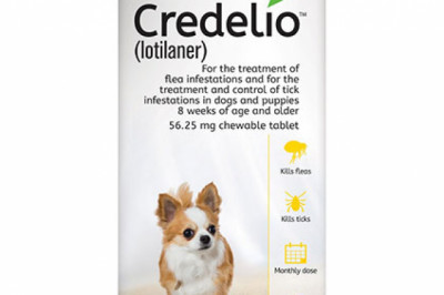 Buy Credelio Yellow for Dogs | 56.25 mg for 04-06 lbs Dogs