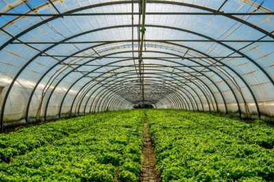 Europe Commercial Greenhouse Market is Anticipated To Grow with a CAGR of More Than 10.40% From 2022 to 2027
