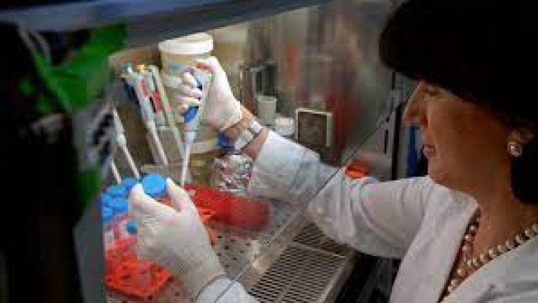 Gene therapies have revolutionized the health sciences and pharmaceutical fields.