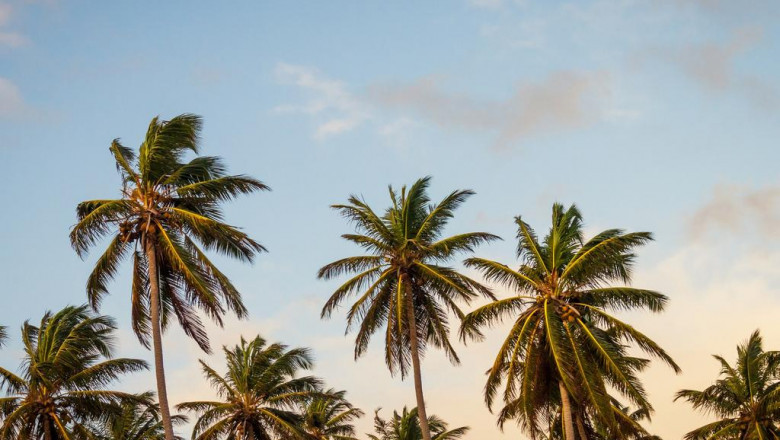 16 mustfollow facebook pages for corpus christi party rentals marketers