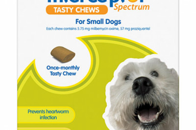 Buy Interceptor Spectrum Tasty Chews For Small Dogs 4 To 11kg (Green)