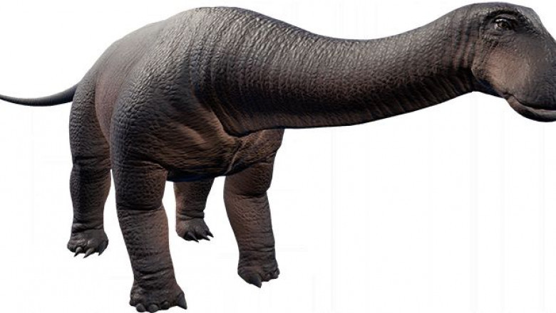 Fascinating Details About Dinosaurs