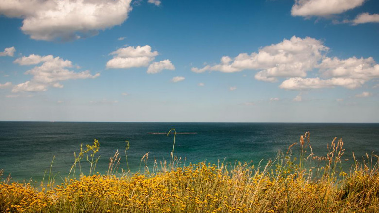 uk farms land available for sale