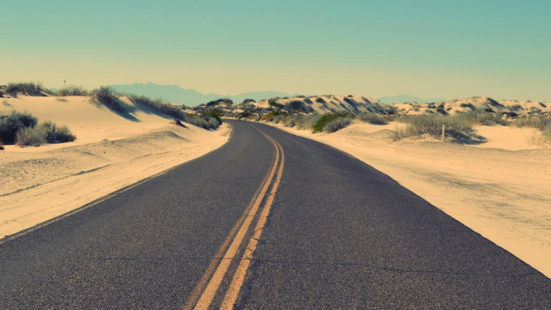 5 vines about go bus egypt that you need to see