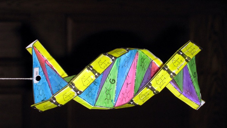 DNA Origami Market Demand from 2021-2027| Research Informatic
