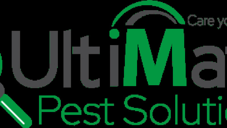 Top Methods of Rodent Control Toronto Canada