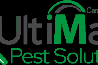 Top Methods of Rodent Control Toronto Canada