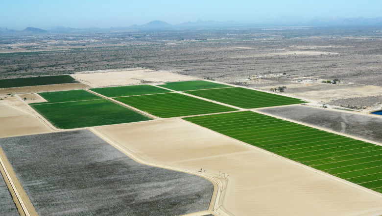 Unparrallelled Benefits Of Investing In Plots
