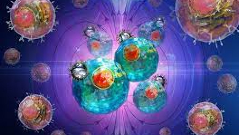 Cell Isolation Cell Separation Market Key Vendors, Opportunities, Deep Analysis by Regional & Country Outlook