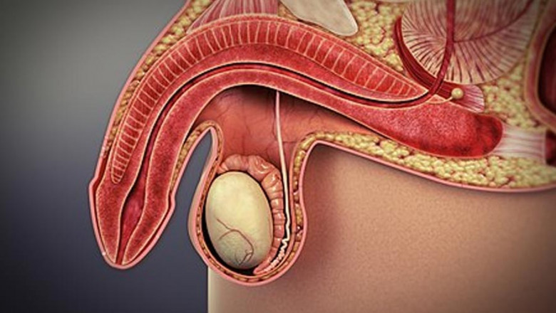 Erectile Dysfunction Exercises: Do They Help?