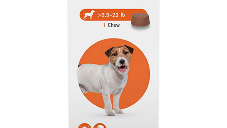 Buy Cheapest Bravecto Orange for Small Dogs Online