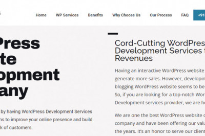 WordPress Development Services - WP Web Coders