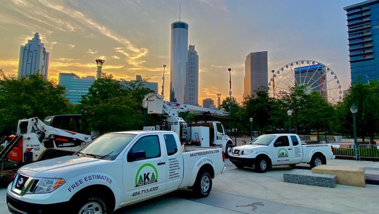 AKA Tree Service: The Only Tree Removal Company That You Need