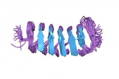 Antifreeze Proteins Market Growth Trends and Value Chain 2022-2030