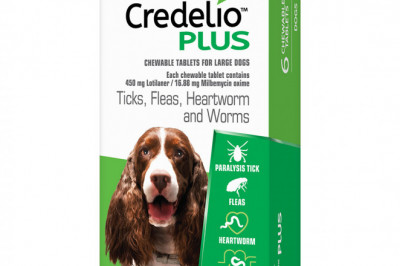 Credelio Plus Flea Tick Heartworm Worm Control 6 Chews Green for 11 to 22 Kg Dogs