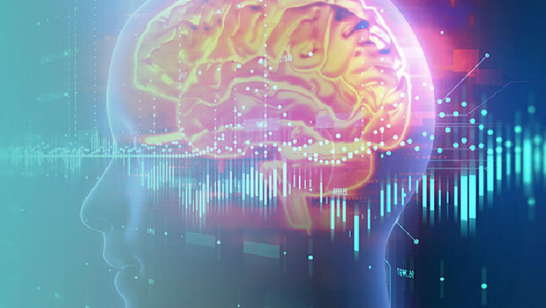 Detoxify your brain