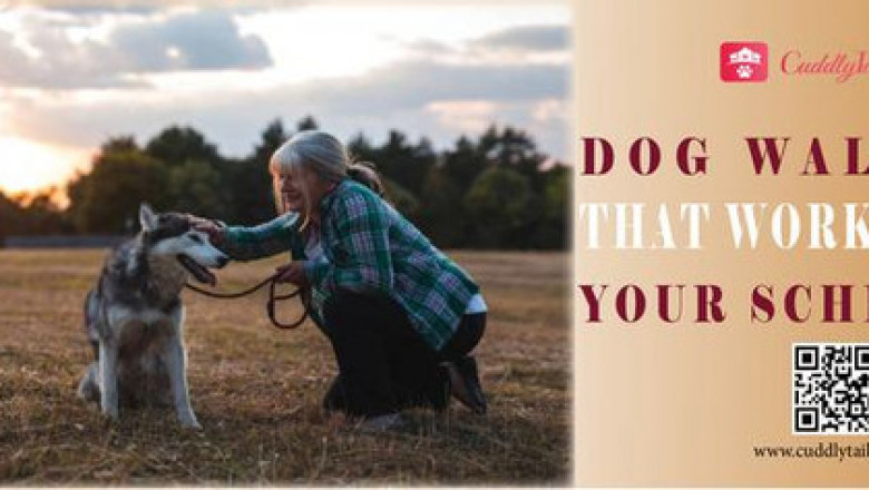 Dog Boarding  services in Washington