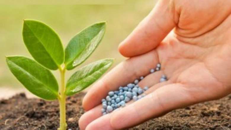 Global Fertilizer Market Outlook, 2027