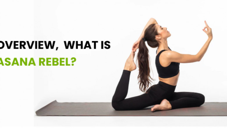 How to Develop Yoga App Like Asana Rebel?