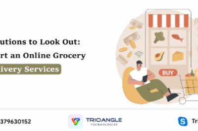 There are some Solutions to Look Out to Start an Online Grocery Delivery Services