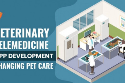 Veterinary Telemedicine App Development Changing Pet Care