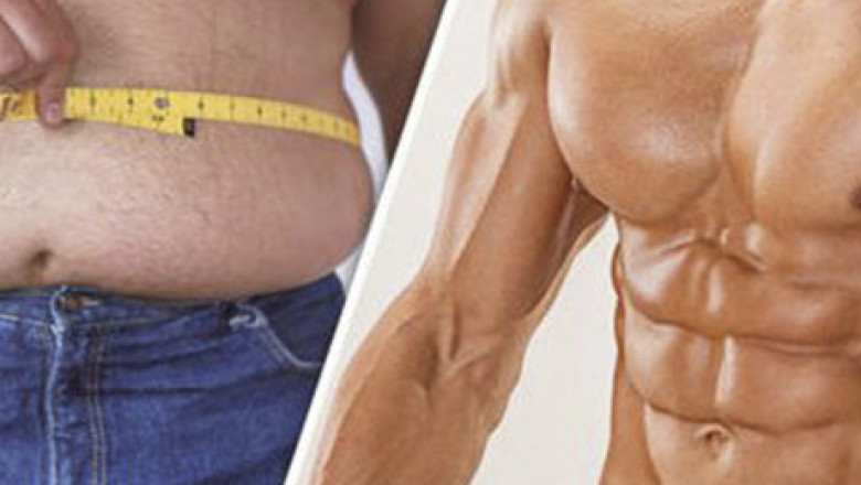 Best Mechanism to Lose Belly Fat Quickly
